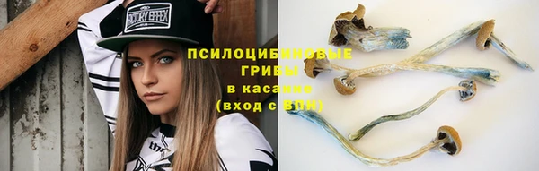 МДПВ Нефтекумск