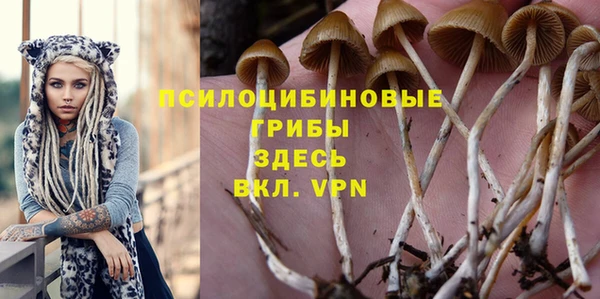 меф VHQ Новозыбков