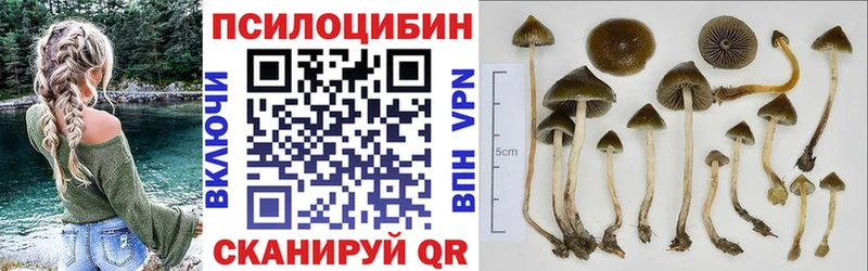 Псилоцибиновые грибы прущие грибы  наркотики  Навашино 